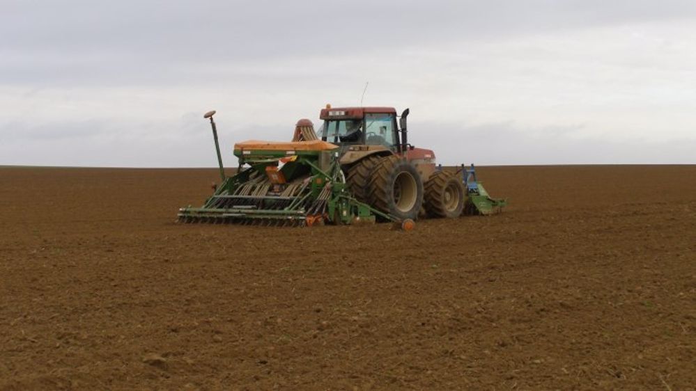 Des conditions optimales pour les semis de blé en Argentine