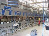 salle de traite 2x24 