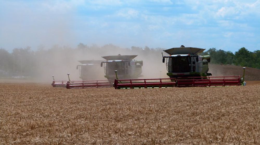 Les Lexion 600 et 700 au champ Les Lexion 600 et 700 au champ