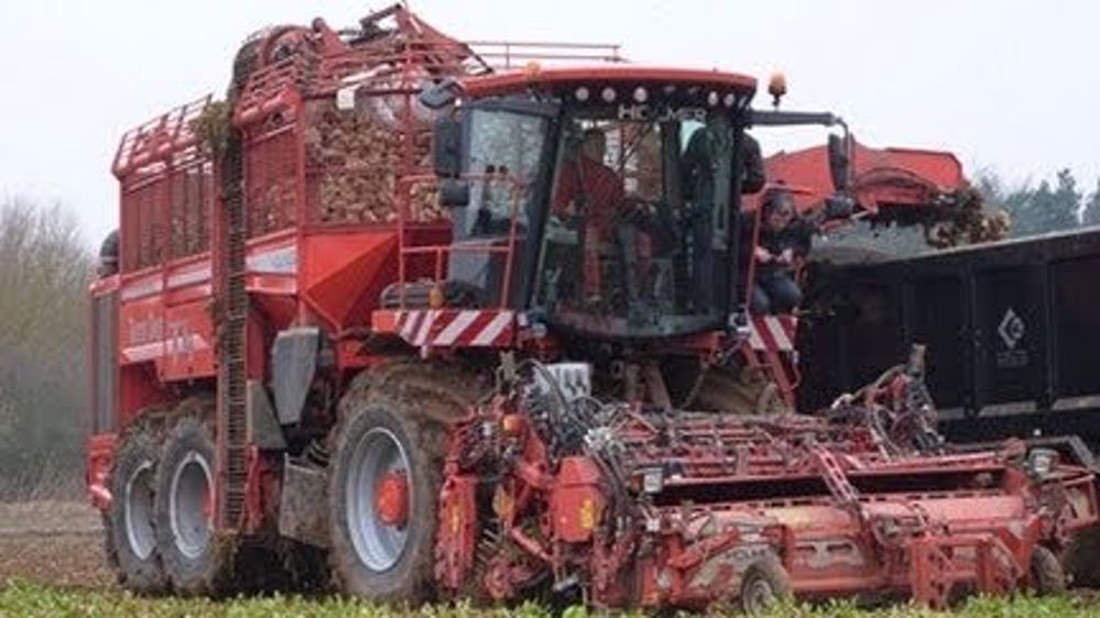 L'intégrale à betteraves Terra Dos T4-40 en action L'intégrale à betteraves Terra Dos T4-40 en action