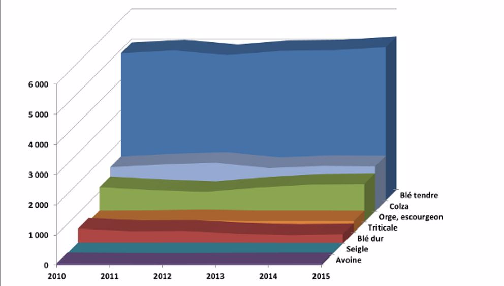 Les céréales en légère hausse