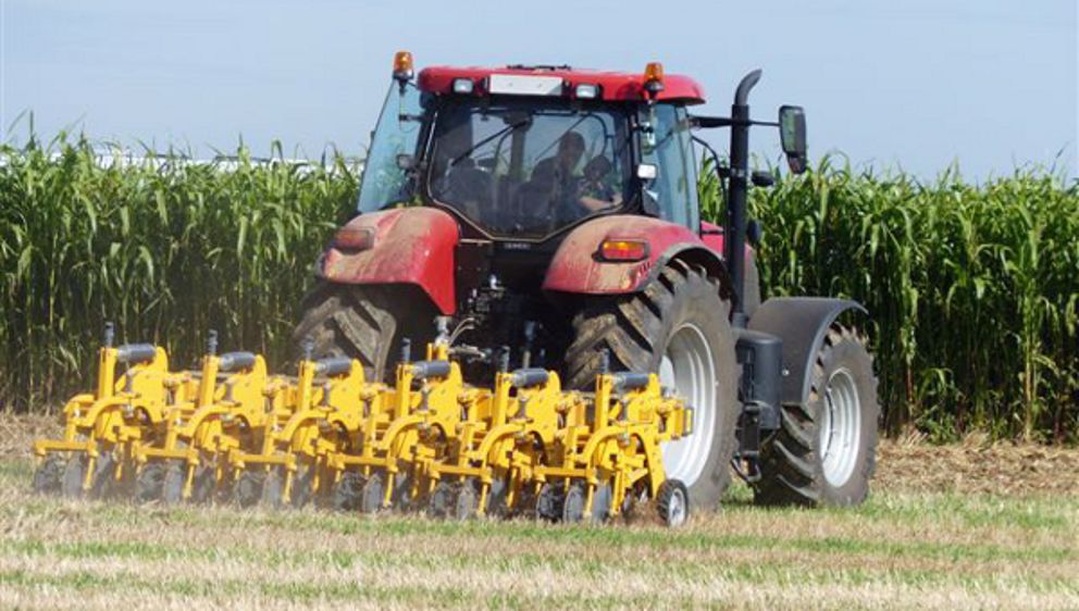 Dondi en exclusivité chez Quivogne