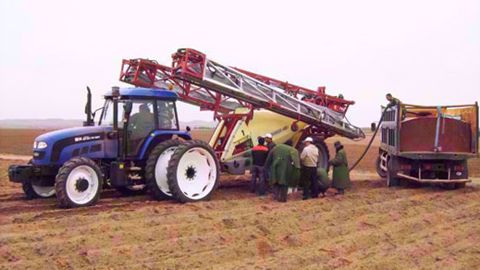 Hardi prêt pour le marché chinois Hardi prêt pour le marché chinois