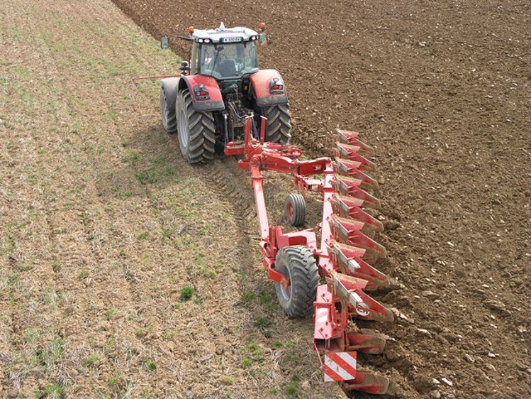 La Clever de Demblon déclinée en hors-raie