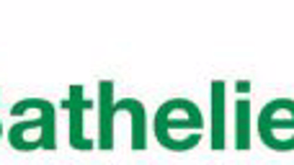 RESPONSABLES/COMMERCIAUX/TECHNICIENS/MAGASINIERS RESPONSABLES/COMMERCIAUX/TECHNICIENS/MAGASINIERS