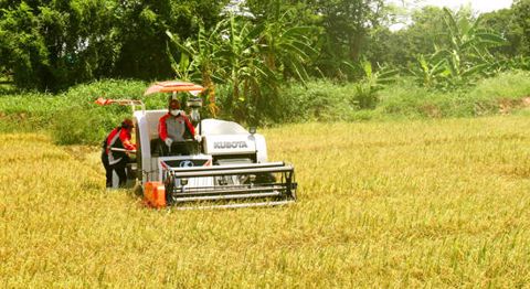 Kubota se renforce en Birmanie Kubota se renforce en Birmanie