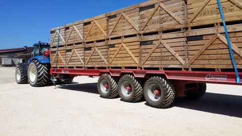 Les patates sur un tridem Chevance Les patates sur un tridem Chevance