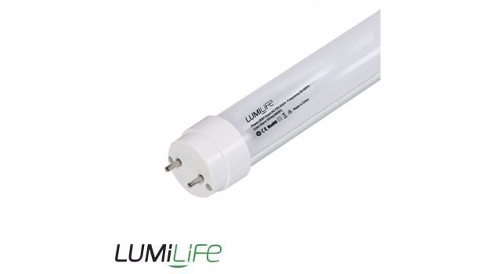 Led Hut : les lumières de l'économie