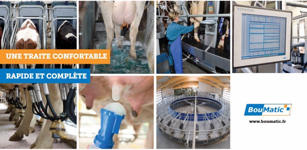 BouMatic : 7 fermes laitières ouvrent leurs portes