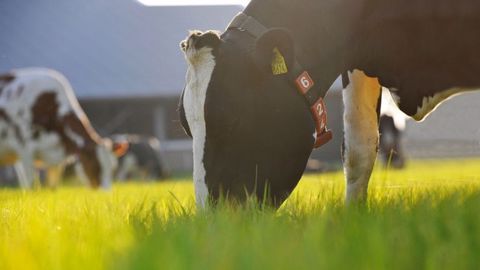 Lely : journées pâturage et robot de traite Lely : journées pâturage et robot de traite