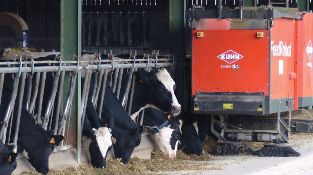 Kuhn TKS FeedRobot : la ration distribuée par un automate norvégien
