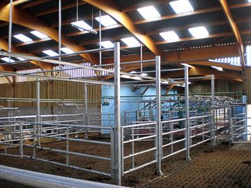 « L'épi classique convient particulièrement aux vaches normandes » « L'épi classique convient particulièrement aux vaches normandes »