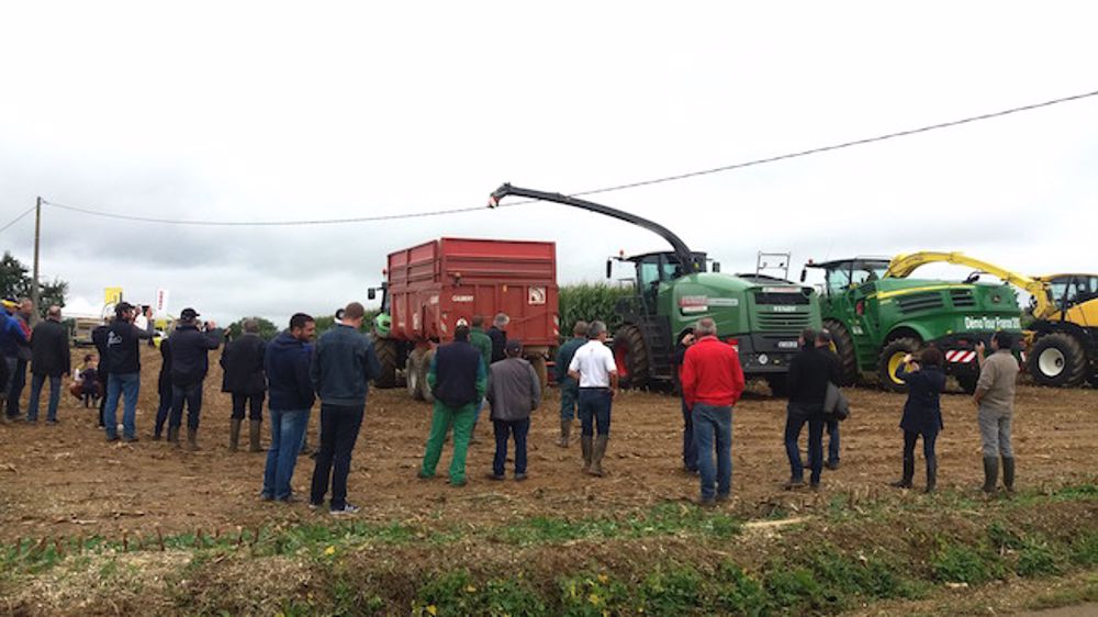 Ensilage de maïs : cinq automotrices jugées sur la qualité Ensilage de maïs : cinq automotrices jugées sur la qualité