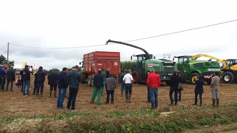 Ensilage de maïs : cinq automotrices jugées sur la qualité Ensilage de maïs : cinq automotrices jugées sur la qualité
