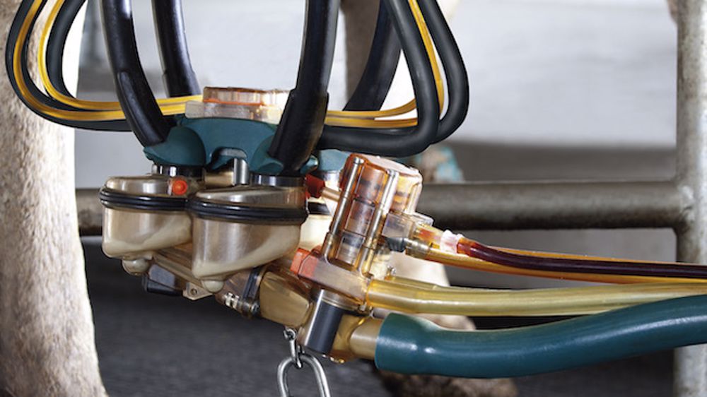 GEA automatise le trempage des trayons GEA automatise le trempage des trayons