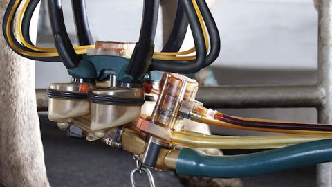 GEA automatise le trempage des trayons GEA automatise le trempage des trayons