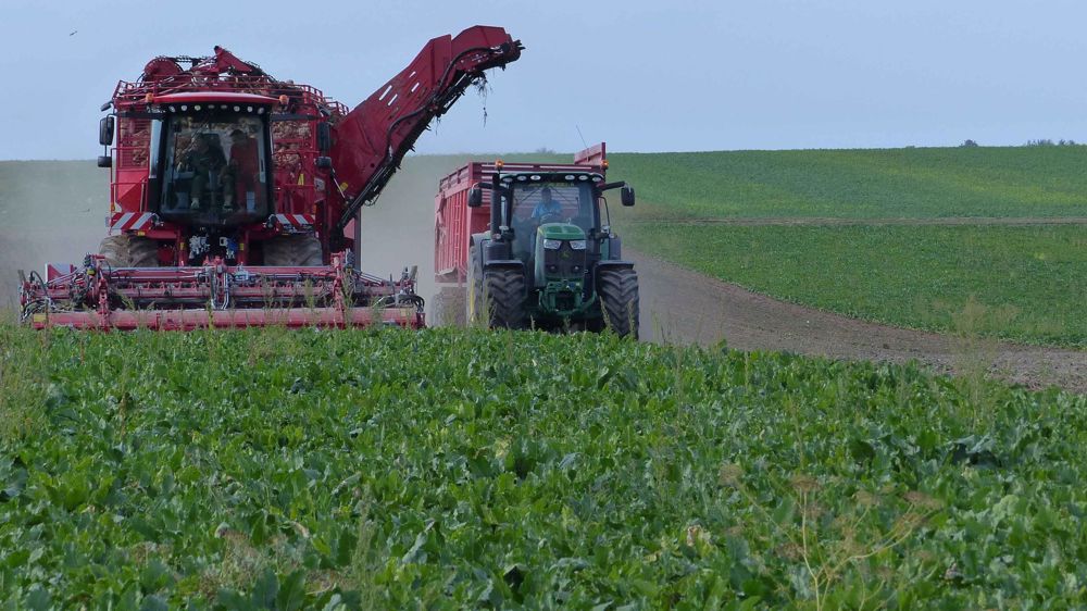 La récolte et la pulvérisation en baisse chez Exel