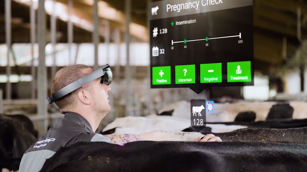 Nedap dévoile la réalité augmentée pour l'élevage Nedap dévoile la réalité augmentée pour l'élevage