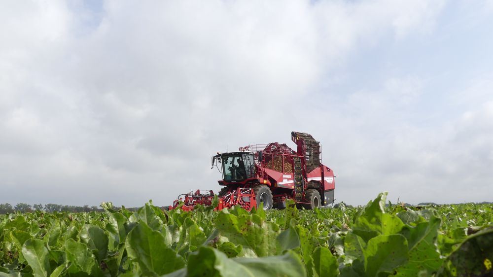 La Grimme Rexor 6200 Platinium se reconnaît facilement grâce à son nouveau design.