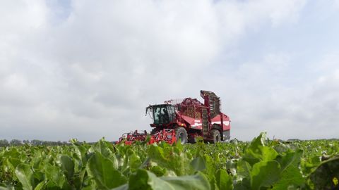 La Grimme Rexor 6200 Platinium se reconnaît facilement grâce à son nouveau design. La Grimme Rexor 6200 Platinium se reconnaît facilement grâce à son nouveau design.