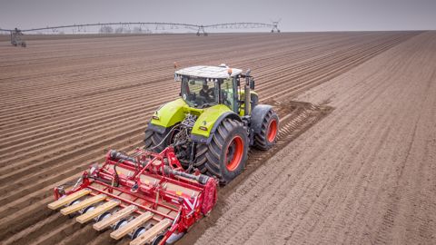 Du semis à la récolte de carottes Du semis à la récolte de carottes