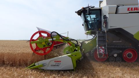 Des petites Convio chez Claas Des petites Convio chez Claas