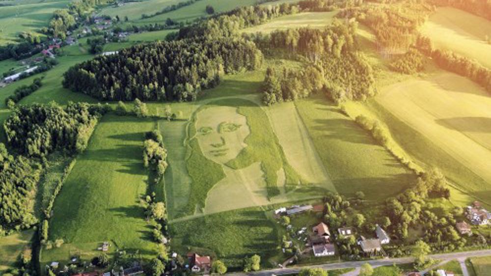 Les Spiders tondent la Joconde !