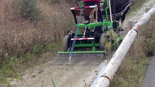 Le désherbage à cheval