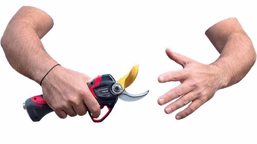 Infaco : la sécurité à fleur de peau