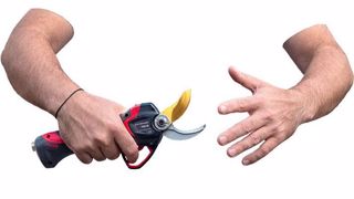 Infaco : la sécurité à fleur de peau