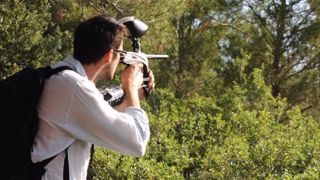 Une solution prometteuse contre la processionnaire du pin