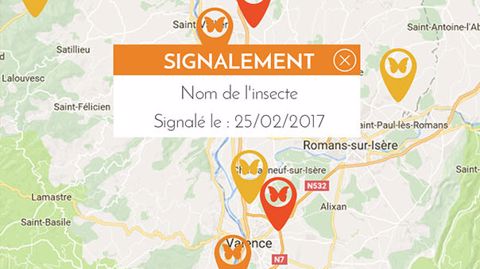 GeoInsecta : contre les insectes, l'appli contre-attaque GeoInsecta : contre les insectes, l'appli contre-attaque