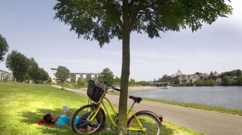 L'Observatoire des villes vertes livre ses premiers résultats