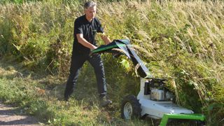 Des Etesia Attila alsaciennes
