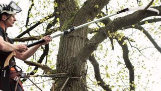 Berger tend une perche aux arboristes