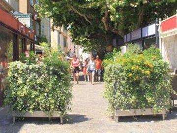 citefloor-1-tropheesnnovations-salonvert2018