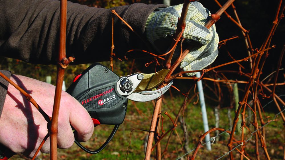 Un dispositif anti-coupure plébiscité