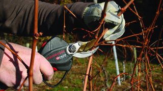 Un dispositif anti-coupure plébiscité