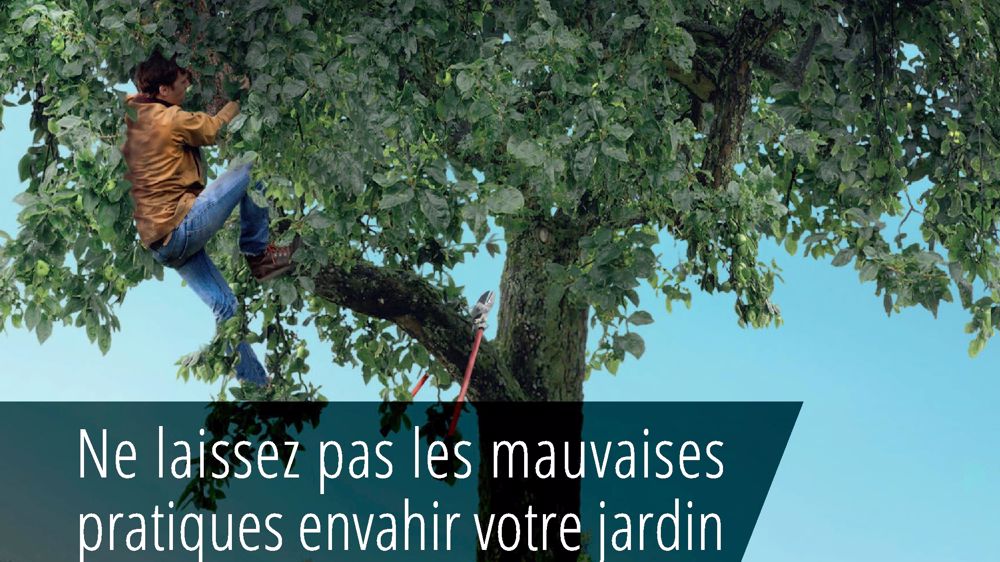 Une convention contre le travail illégal en Corse