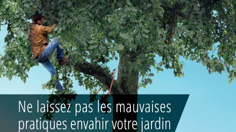 Une convention contre le travail illégal en Corse Une convention contre le travail illégal en Corse