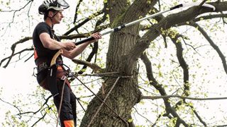 Horizon Vertical : importation des outils Berger