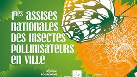 Besançon : 1ères assises nationales des insectes pollinisateurs Besançon : 1ères assises nationales des insectes pollinisateurs