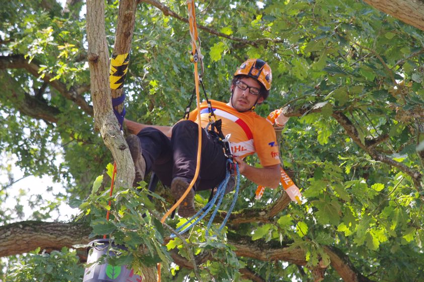 Rencontres Nationales d'Arboriculture 2019