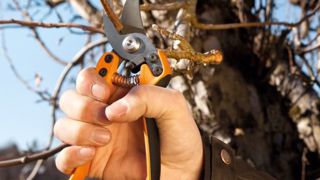 Fiskars : des outils réducteurs de fatigue