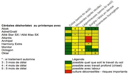 Travail du sol et sensibilité de la culture pour écarter les risques de phytotoxicité. Cliquer pour agrandir.