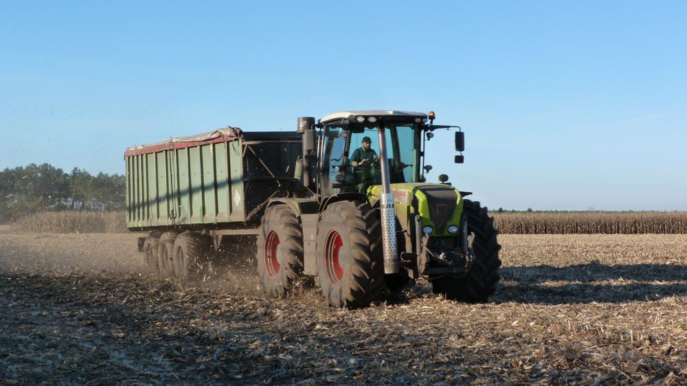 Les bucherons dans les champs Les bucherons dans les champs