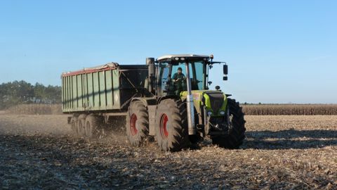 Les bucherons dans les champs Les bucherons dans les champs