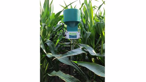 La sonde capacitive permet, d’une part, de valider la dose d’eau effectivement irriguée ou le volume de pluviométrie, et, d’autre part, d’anticiper le redémarrage de l’irrigation après une pluie. La sonde capacitive permet, d’une part, de valider la dose d’eau effectivement irriguée ou le volume de pluviométrie, et, d’autre part, d’anticiper le redémarrage de l’irrigation après une pluie.