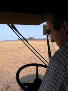 D'après le rapport Reynes, depuis 2004, chaque année le secteur agricole perd 2,4% d'emploi permanent chaque année.