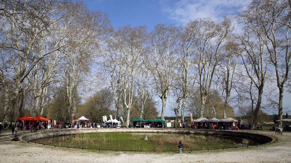 Les rencontres d'Arboriculture sont reportées